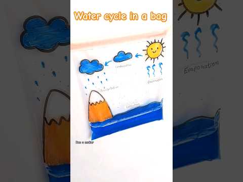 Water Cycle Project