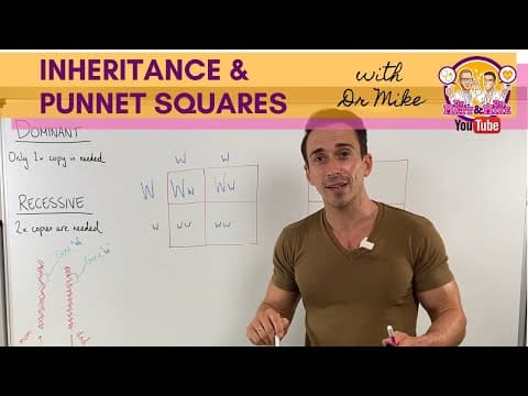 Punnett Square Genetics: Probability and Heredity Experiment
